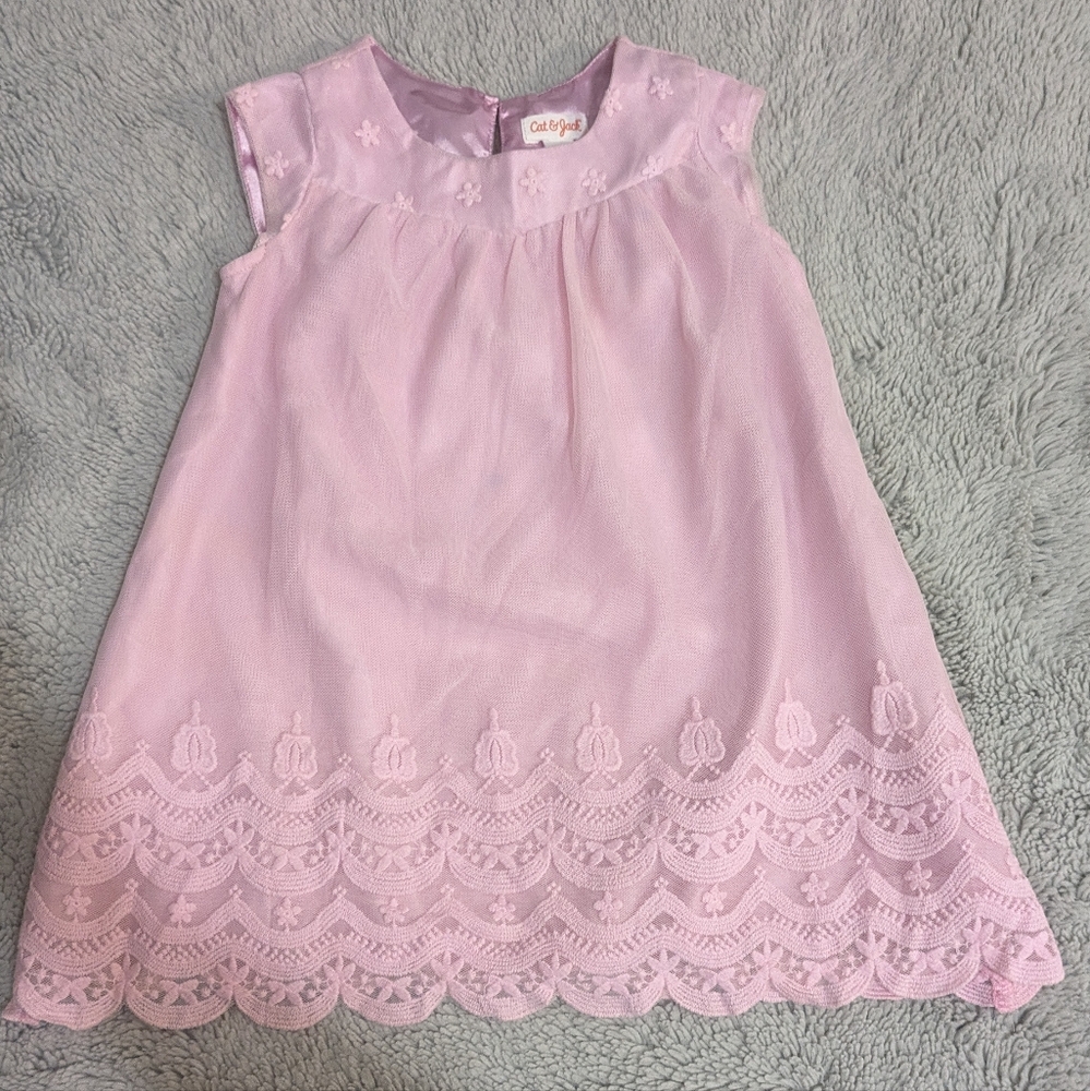 cat & jack pink 3t girl